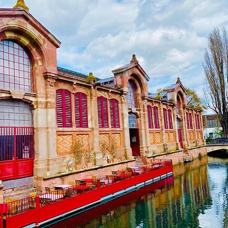 Appartement Spacieux A Colmar Avec Terrasse, Garage Privatif, Proche Centre Et Gare - Fr-1-722-2 ภายนอก รูปภาพ