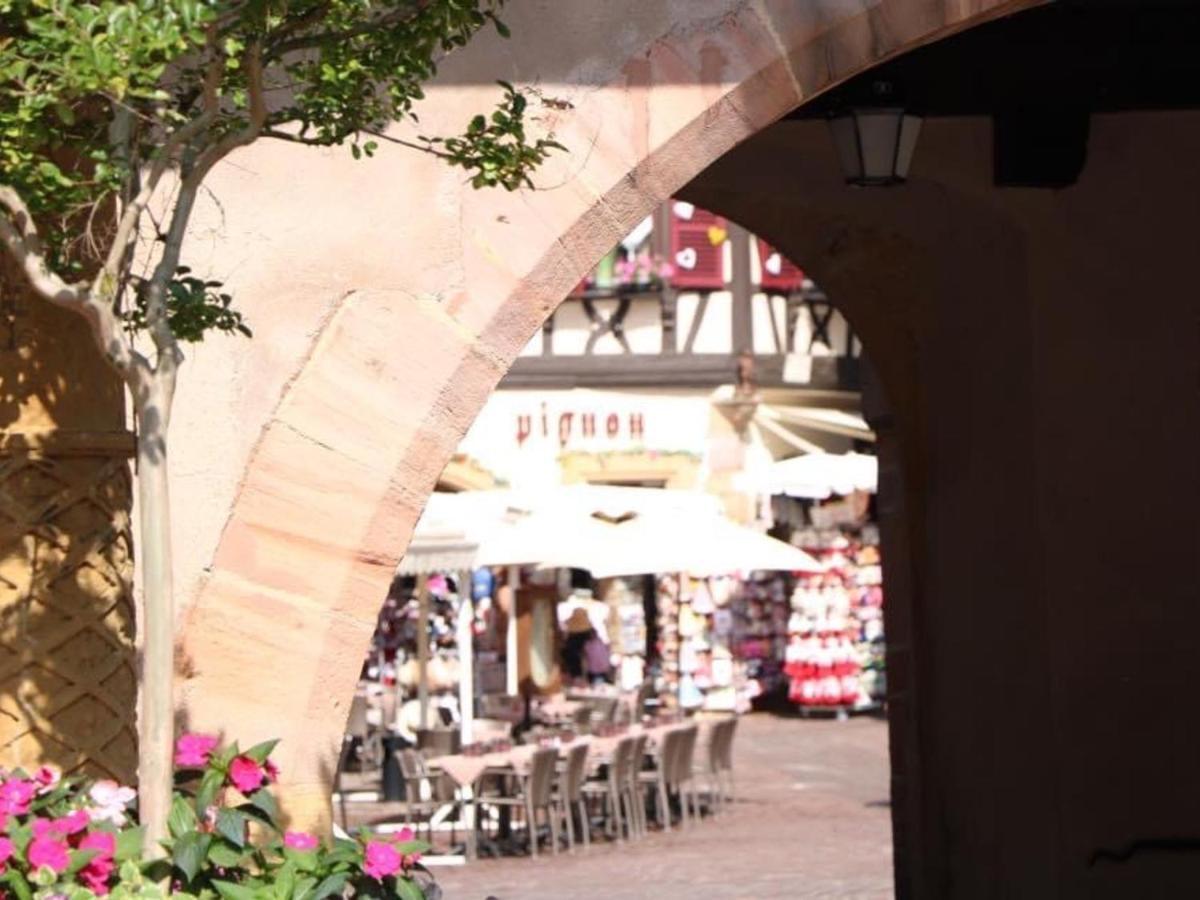 Appartement Spacieux A Colmar Avec Terrasse, Garage Privatif, Proche Centre Et Gare - Fr-1-722-2 ภายนอก รูปภาพ