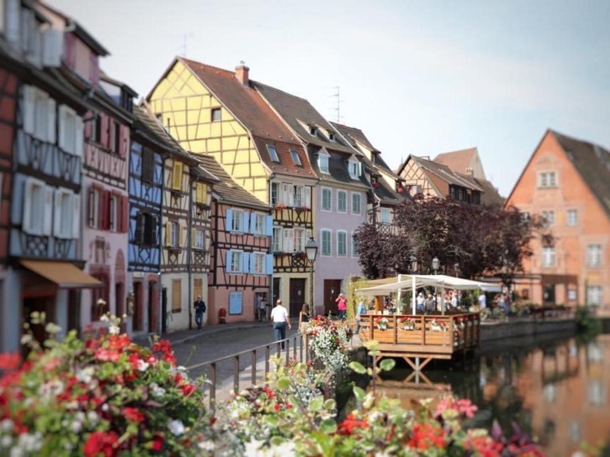 Appartement Spacieux A Colmar Avec Terrasse, Garage Privatif, Proche Centre Et Gare - Fr-1-722-2 ภายนอก รูปภาพ